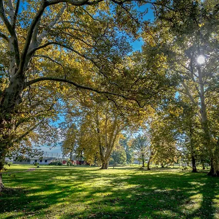 Affittacamere Kammerer Kastelyosdombo